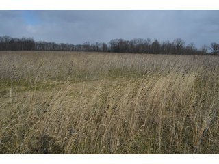 Property photo 81 - 127 Acres Offered in 8 Tracts - Allen & Dekalb County Land